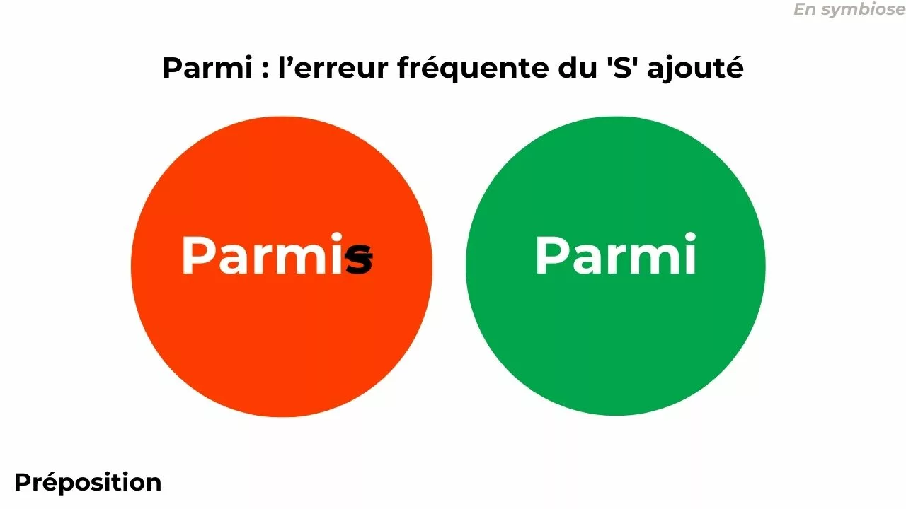 Parmi ou Parmis ? Laissez tomber le S !